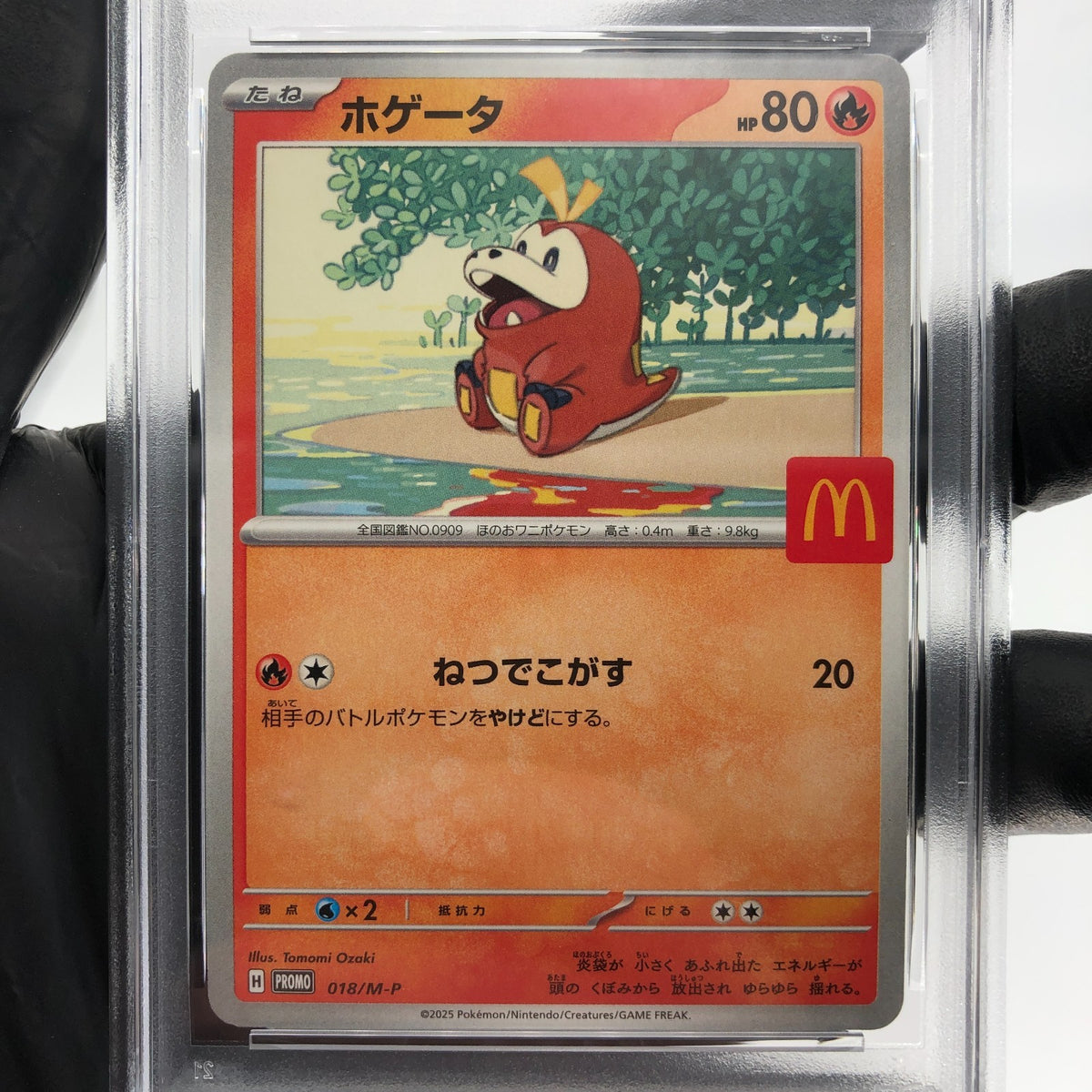 PSA 9 Pokemon Card Fuecoco 018/M-P McDOnalds Promo Japanese Karte [9] 2