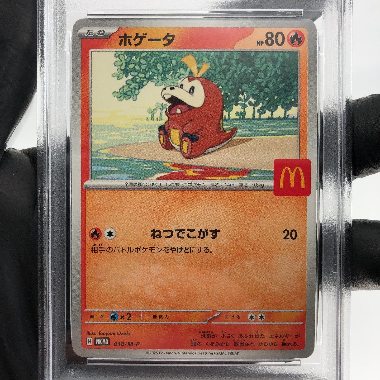 PSA 9 Pokemon Card Fuecoco 018/M-P McDOnalds Promo Japanese Karte [9] 2