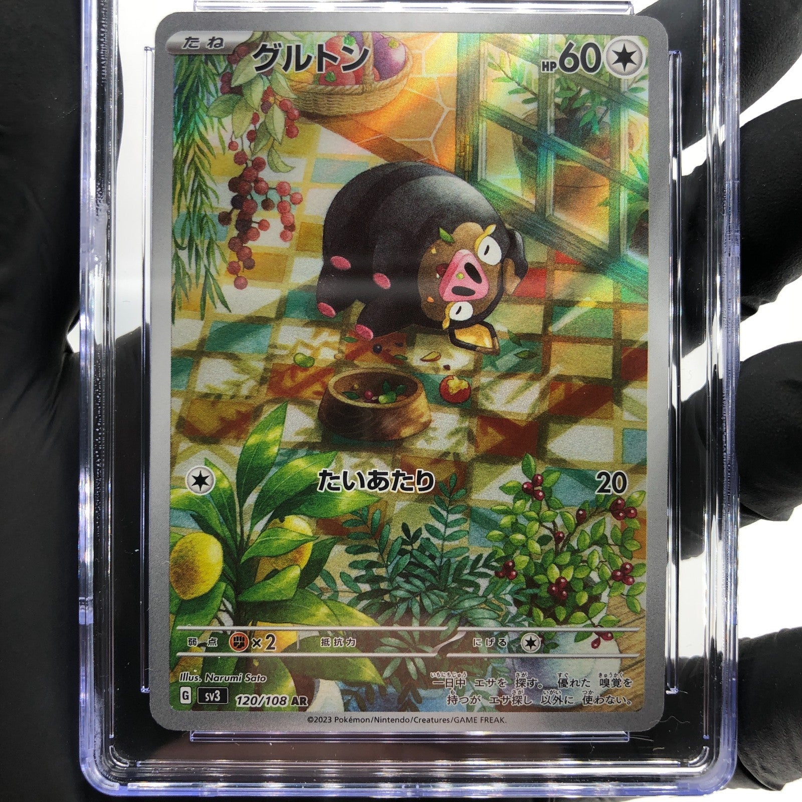 CGC 8.5 Pokemon Card Lechonk 120/108 AR SV3 Japanese Karte [8.5]