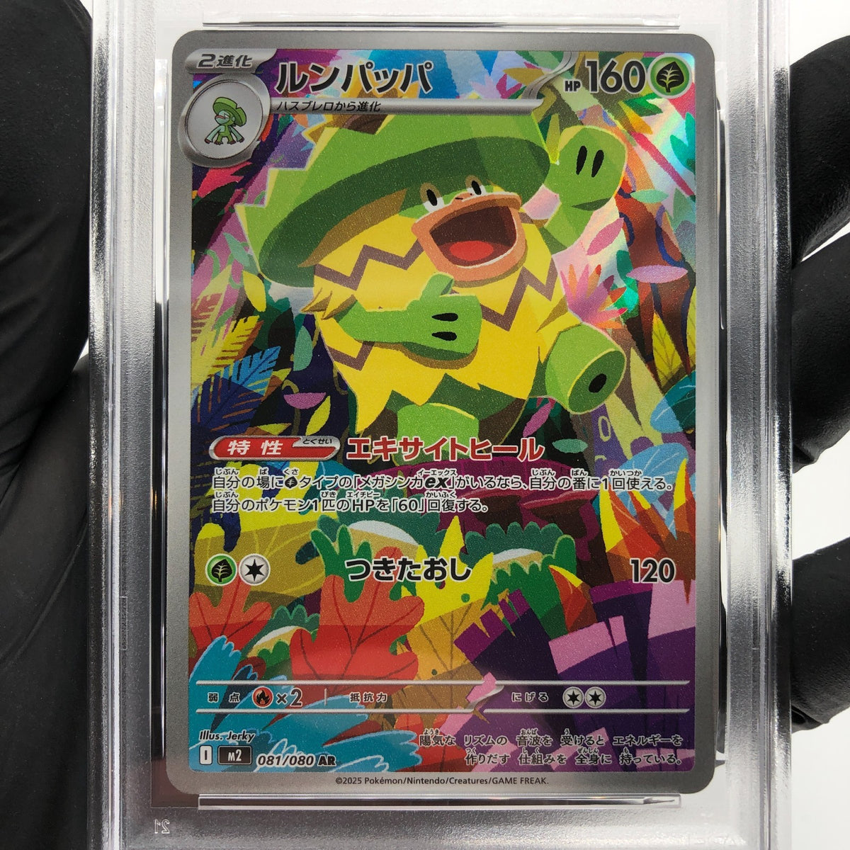 PSA 8 Pokemon Card Ludicolo 081/080 AR M2 Japanese Karte [8] 3