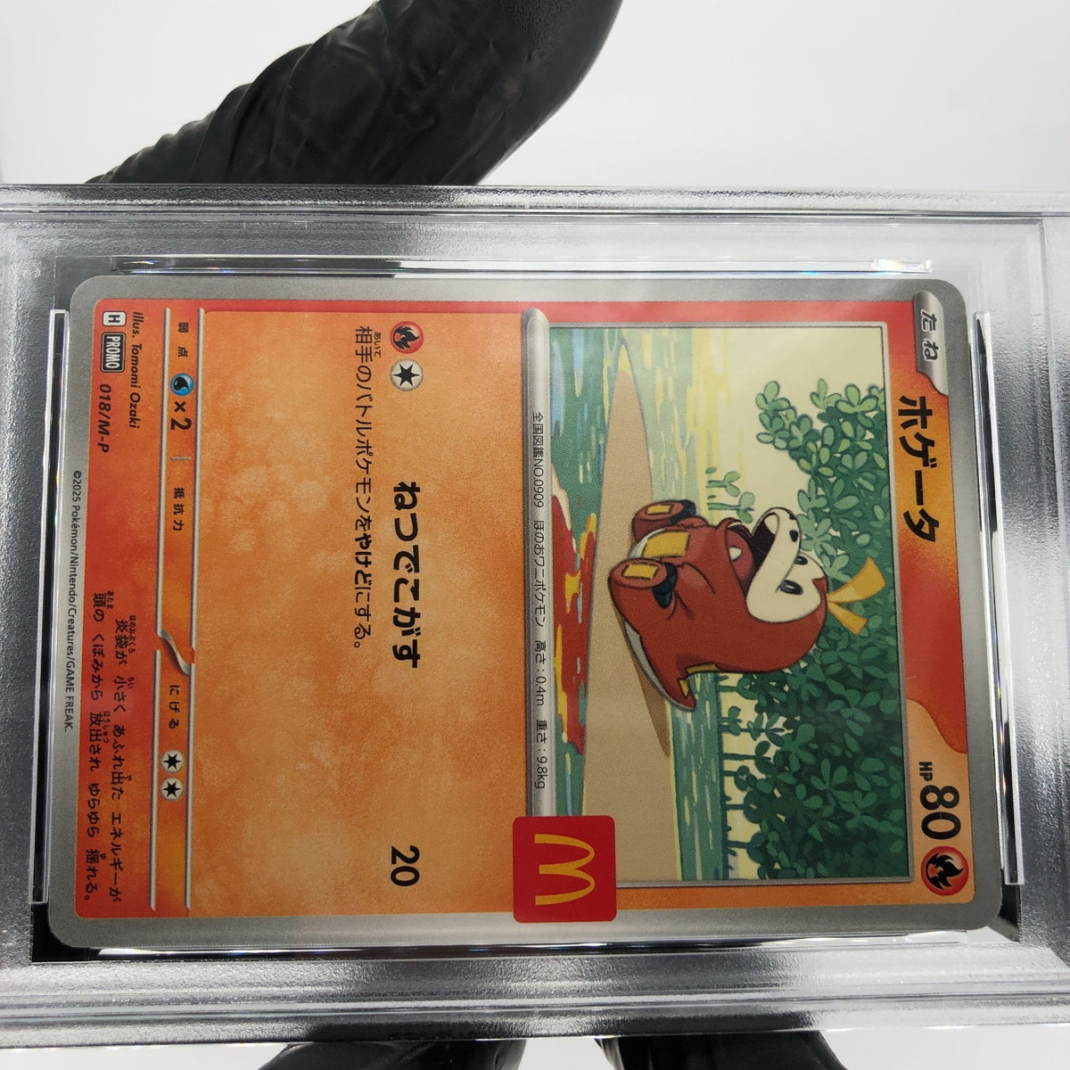 PSA 9 Pokemon Card Fuecoco 018/M-P McDonalds Promo Japanese Karte [9]