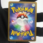 Pokemon Card  Gardenia's Vigor 243/172  SAR s12a Japanese Karte [Mint]