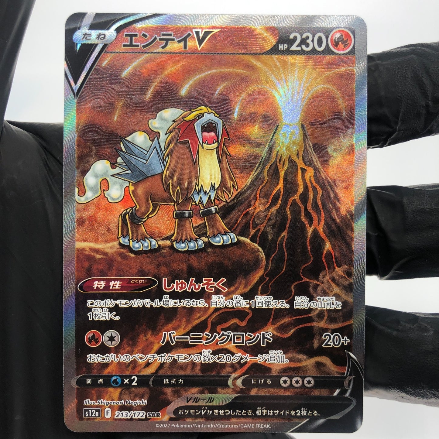 Pokemon Card Entei V 213/172 SAR s12a japanese Karte [Mint]