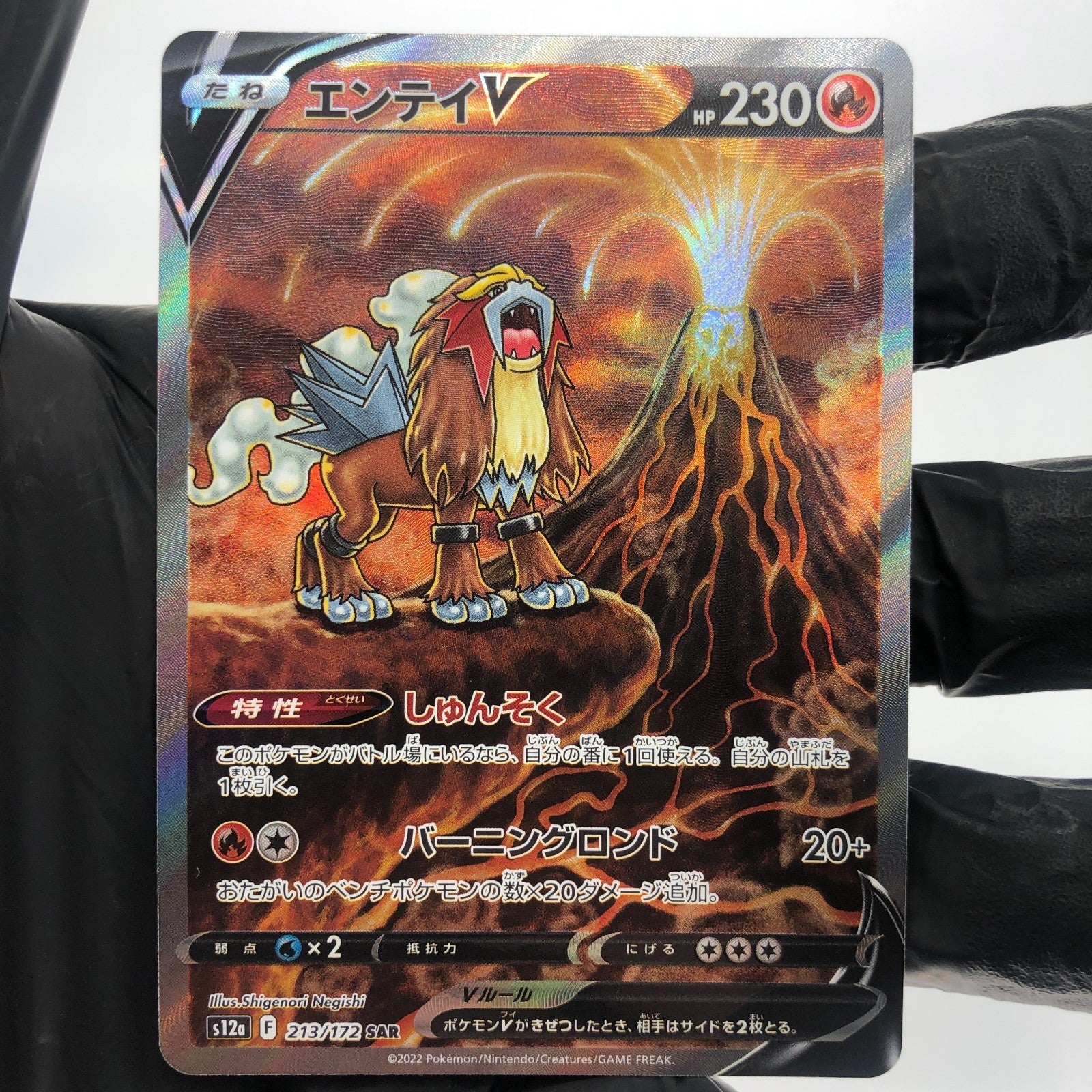 Pokemon Card Entei V 213/172 SAR s12a japanese Karte [Mint]