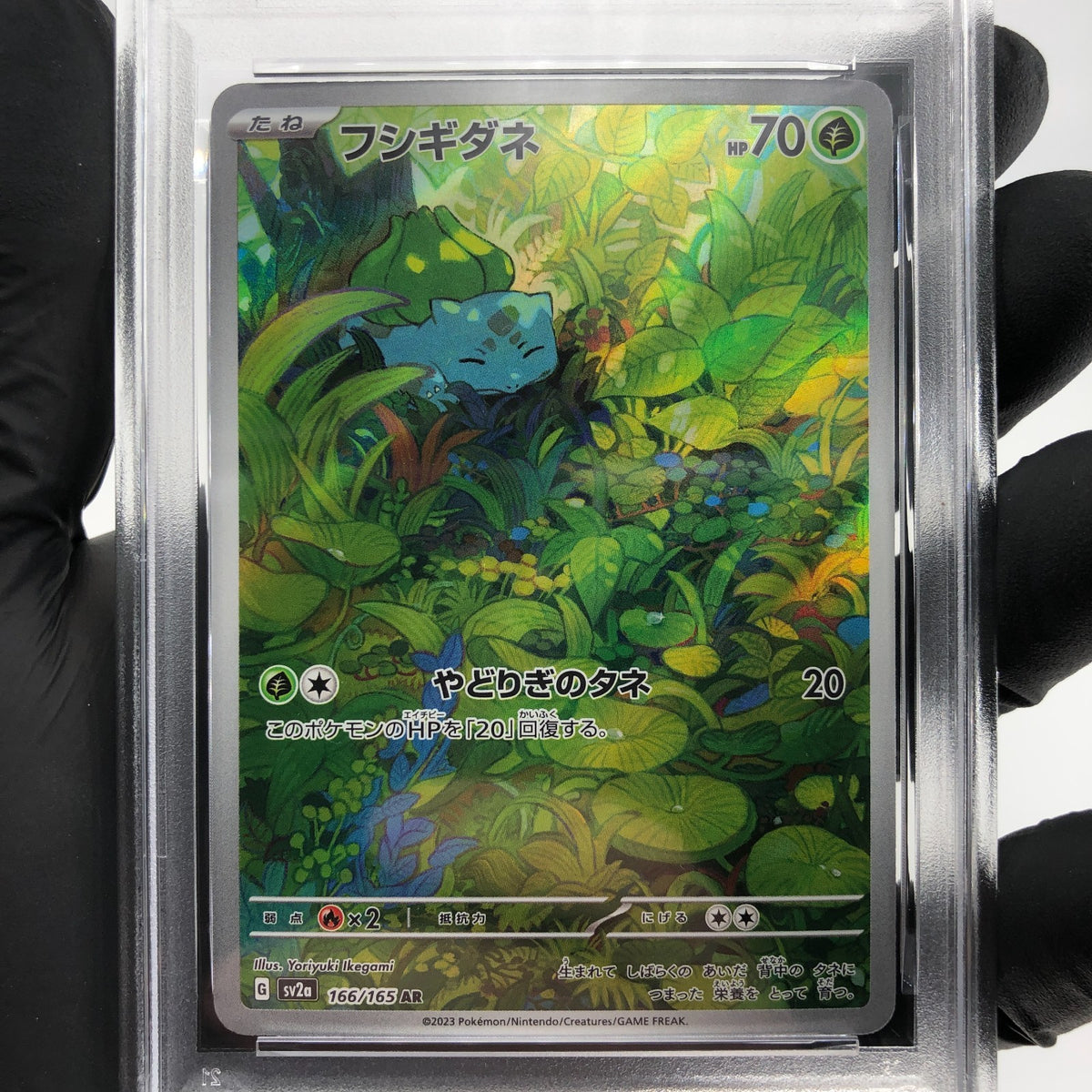 PSA 8 Pokemon Card Bulbasaur 166/165 AR SV2a Japanese Karte [8]