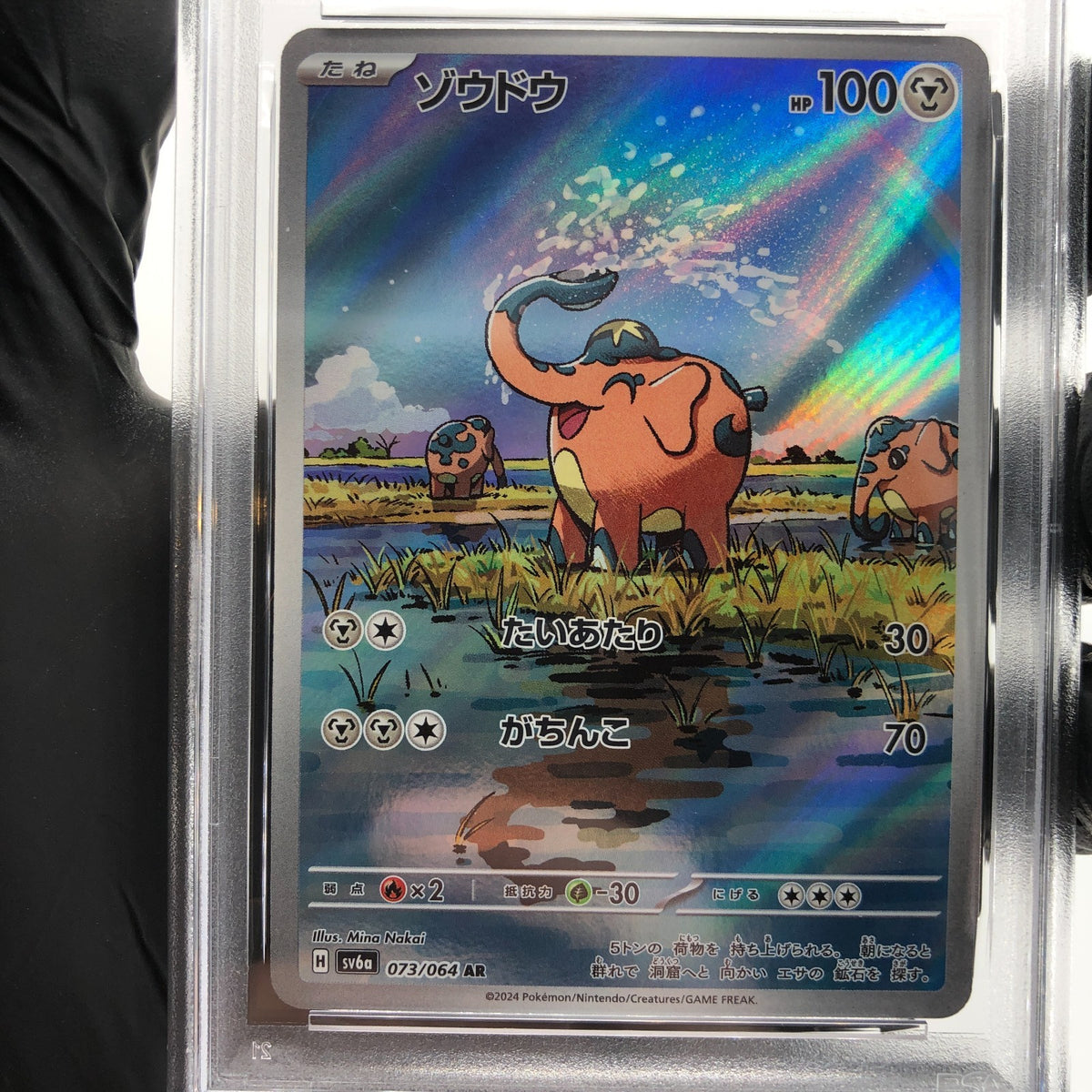 PSA 8 Pokemon Card Flapple 074/064 AR SV7a  Japanese Karte [8]