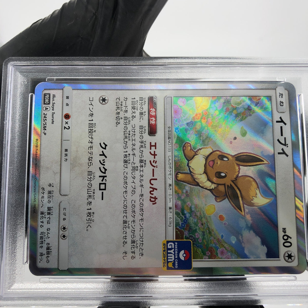 PSA 8 Pokemon Card Eevee 245/SM-P Promo Gym Holo Japanese Karte [8]