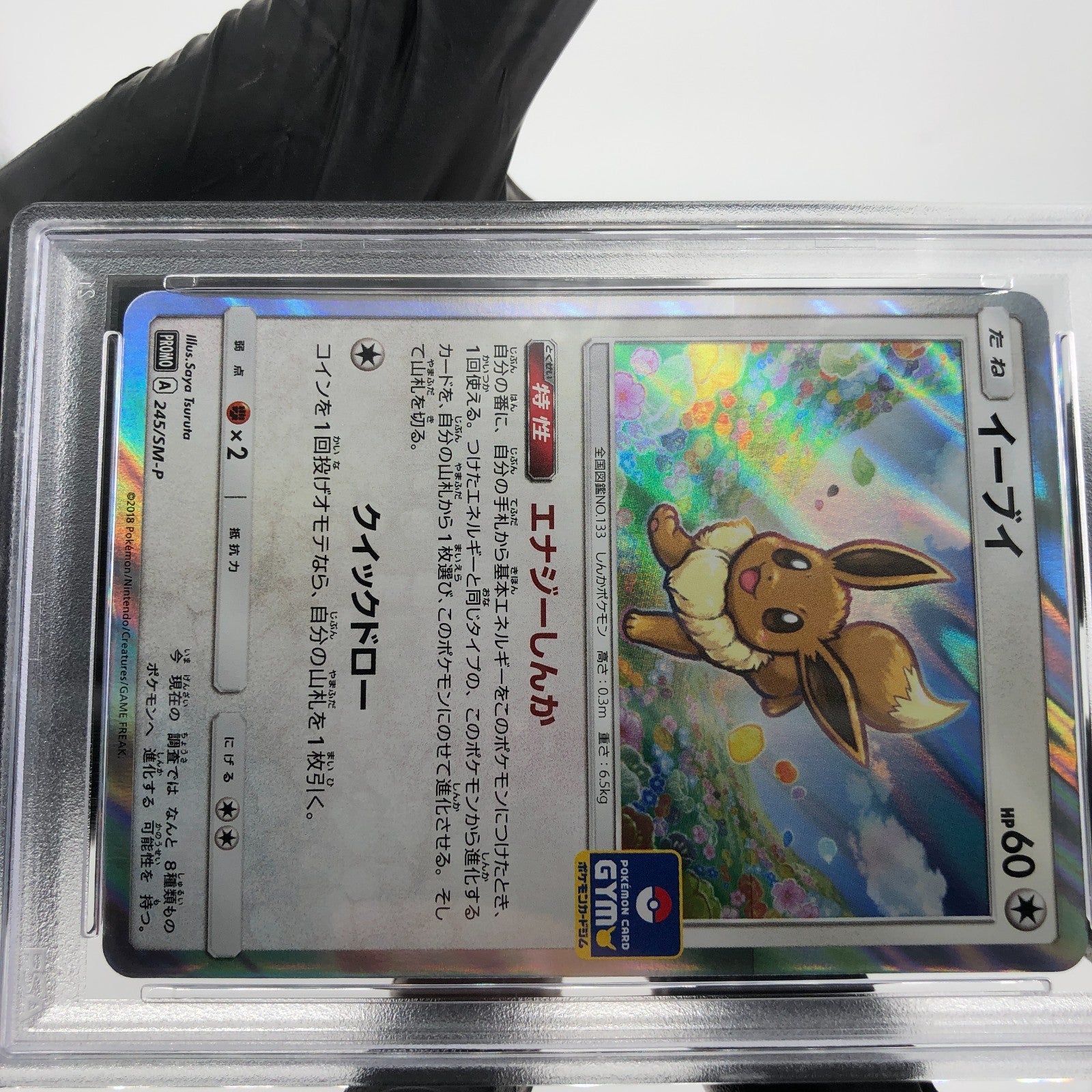 PSA 8 Pokemon Card Eevee 245/SM-P Promo Gym Holo Japanese Karte [8]