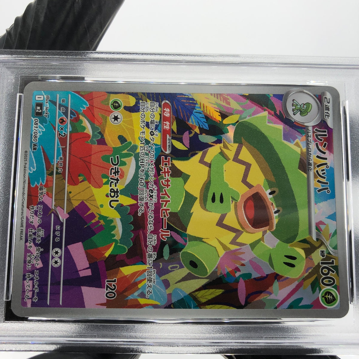 PSA 8 Pokemon Card Ludicolo 081/080 AR M2 Japanese Karte [8] 2