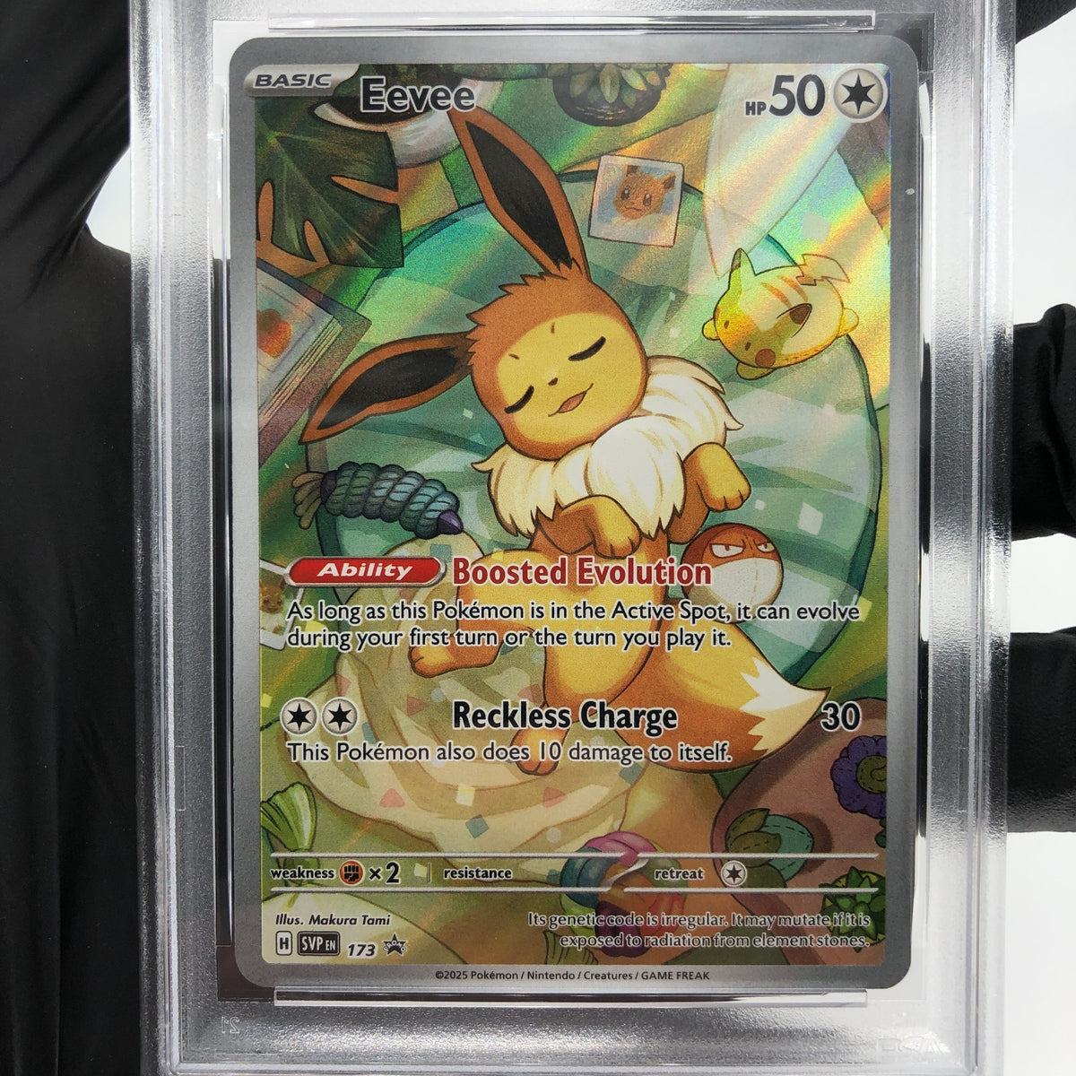 PSA 8 Pokemon Card Eevee 173 SVP Promo ETB English Karte [8]