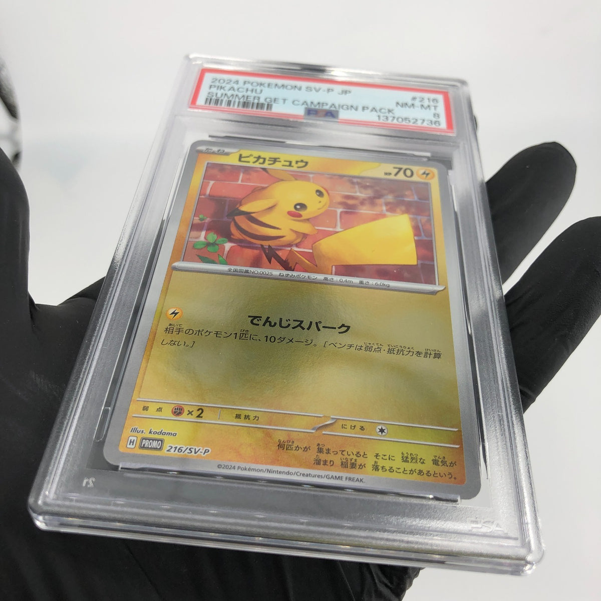 PSA 8 Pokemon Card Pikachu 216/SV-P Summer Promo Japanese Karte [8]
