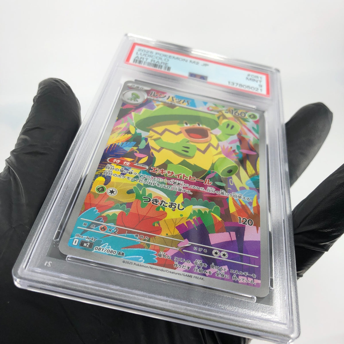 PSA 9 Pokemon Card Ludicolo 081/080 AR M2 Japanese Karte [9]