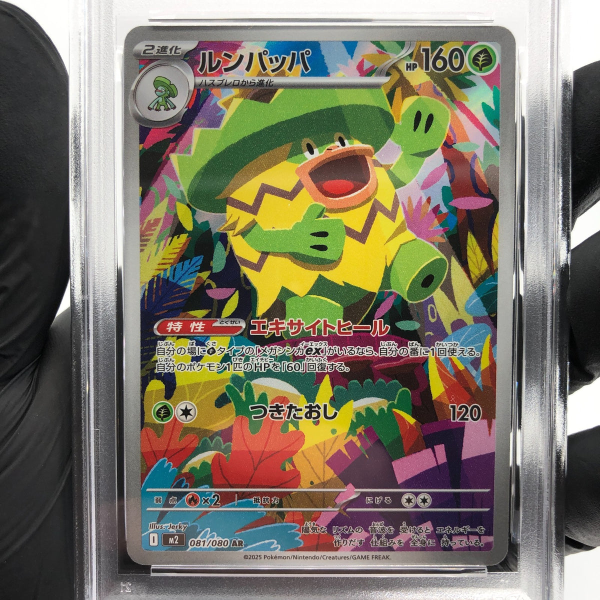 PSA 8 Pokemon Card Ludicolo 081/080 AR M2 Japanese Karte [8] 2