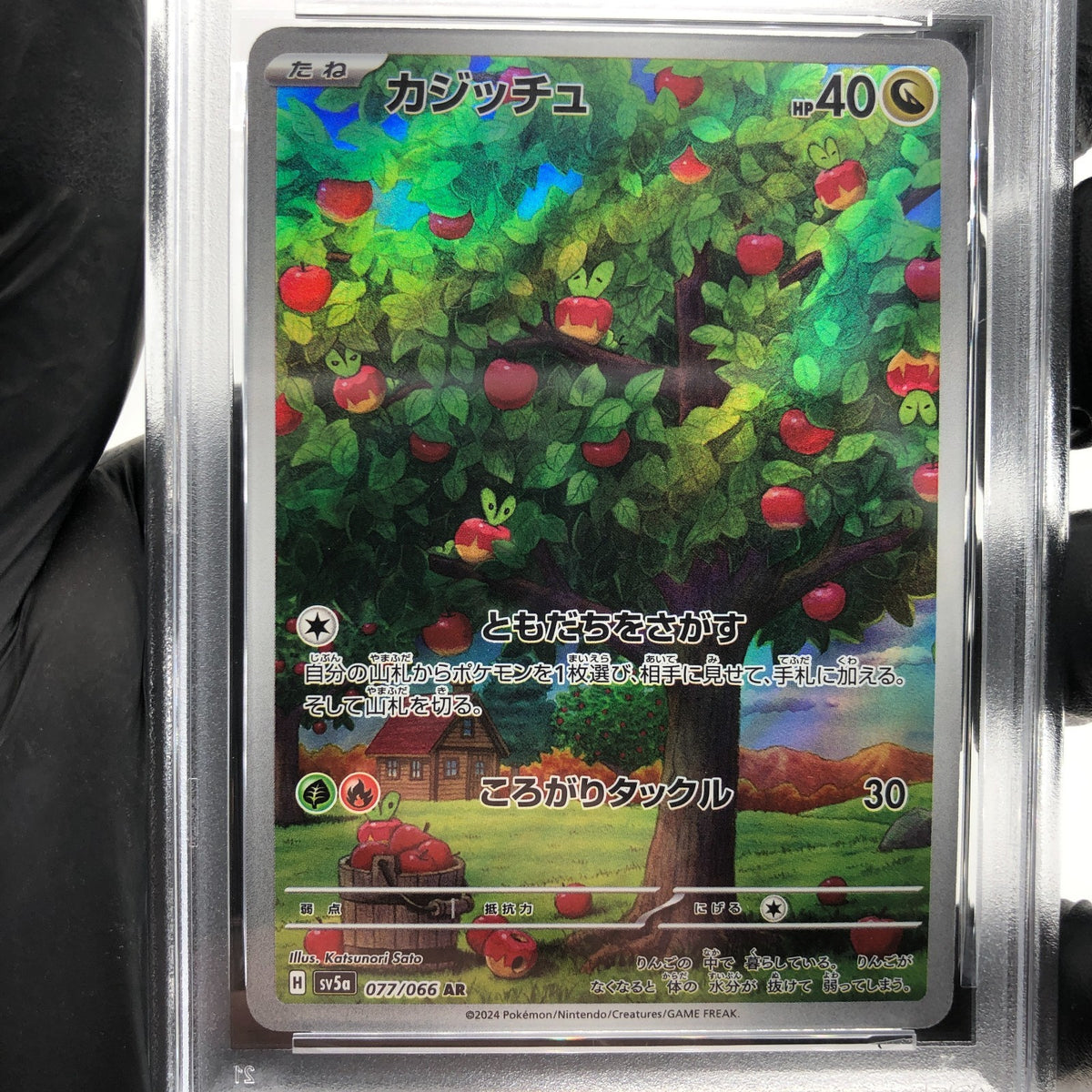 PSA 9 Pokemon Card Applin 077/066 AR SV5a Japanese Karte [9]