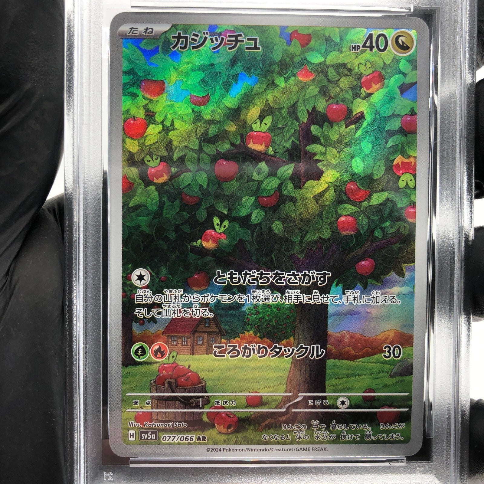 PSA 9 Pokemon Card Applin 077/066 AR SV5a Japanese Karte [9]