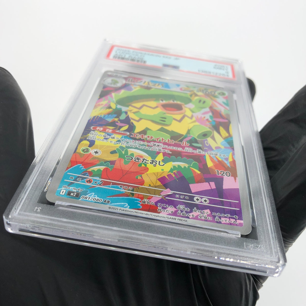 PSA 9 Pokemon Card Ludicolo 081/080 AR M2 Japanese Karte [9] 2