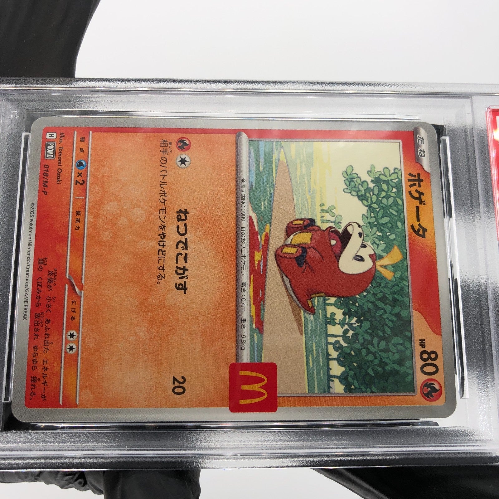 PSA 10 Pokemon Card Fuecoco 018/M-P McDOnalds Promo Japanese Karte [10]