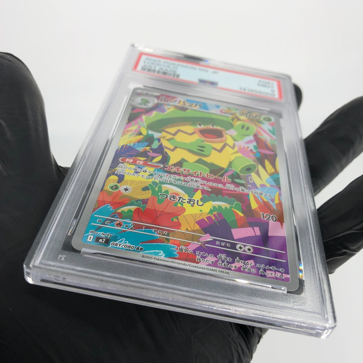 PSA 9 Pokemon Card Ludicolo 081/080 AR M2 Japanese Karte [9]