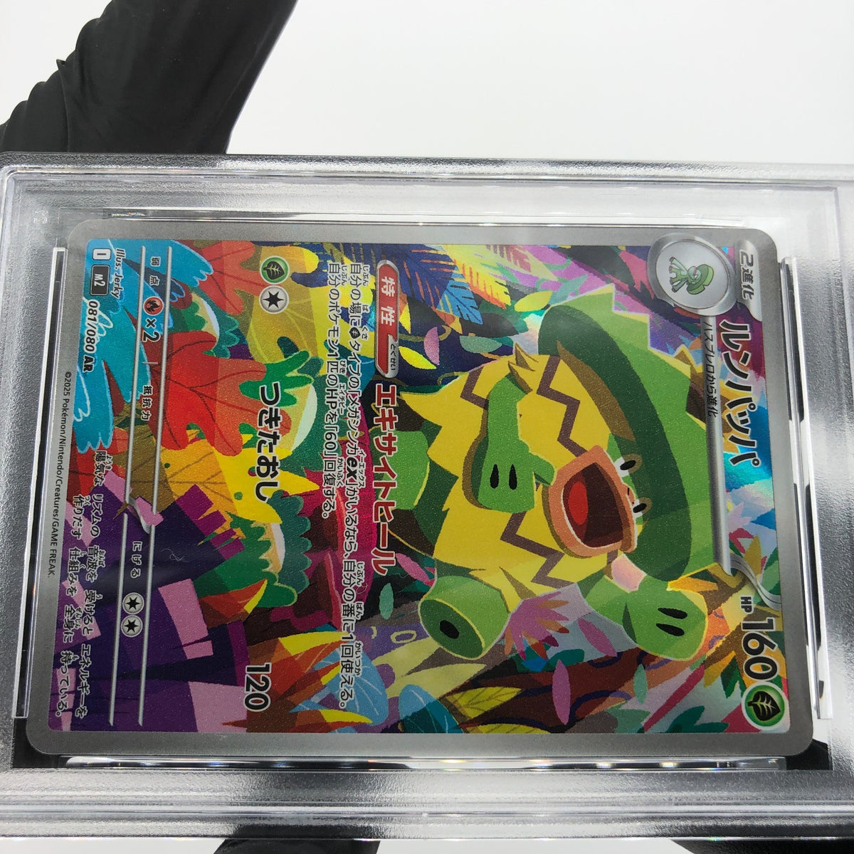 PSA 9 Pokemon Card Ludicolo 081/080 AR M2 Japanese Karte [9] 7