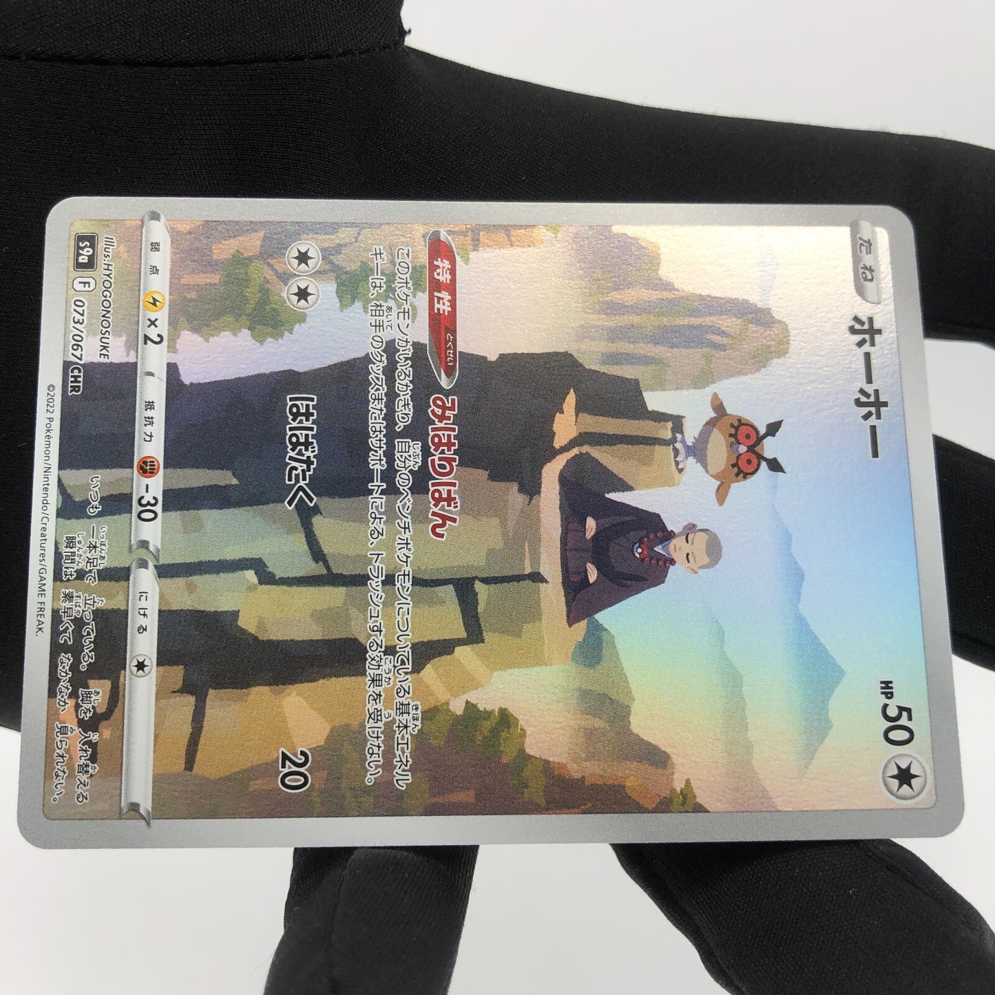 Pokemon Card Howlet 073/067 CHR s9a Japanese Karte [NM]