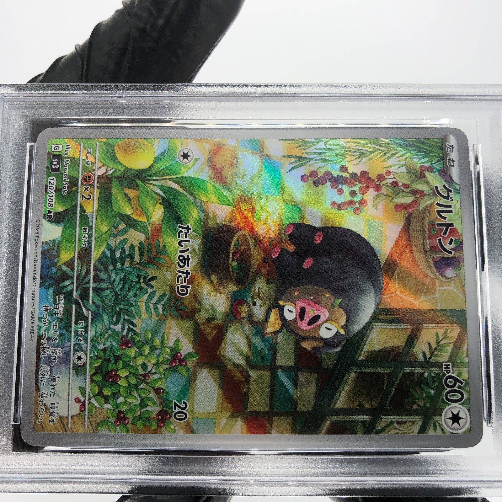 PSA 8 Pokemon Card Lechonk 120/108 AR SV3 Japanese Karte [8]