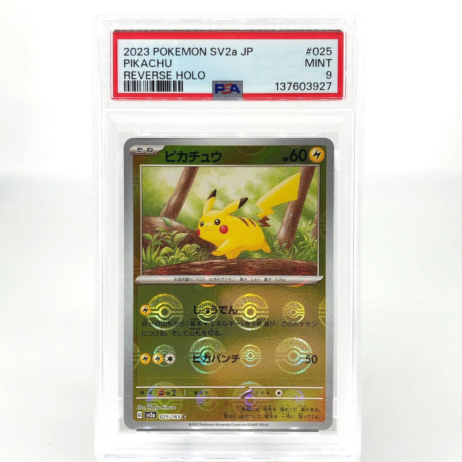 PSA 9 Pokemon Card Pikachu 025/165 C Pokeball SV2a Japanese Karte [9]