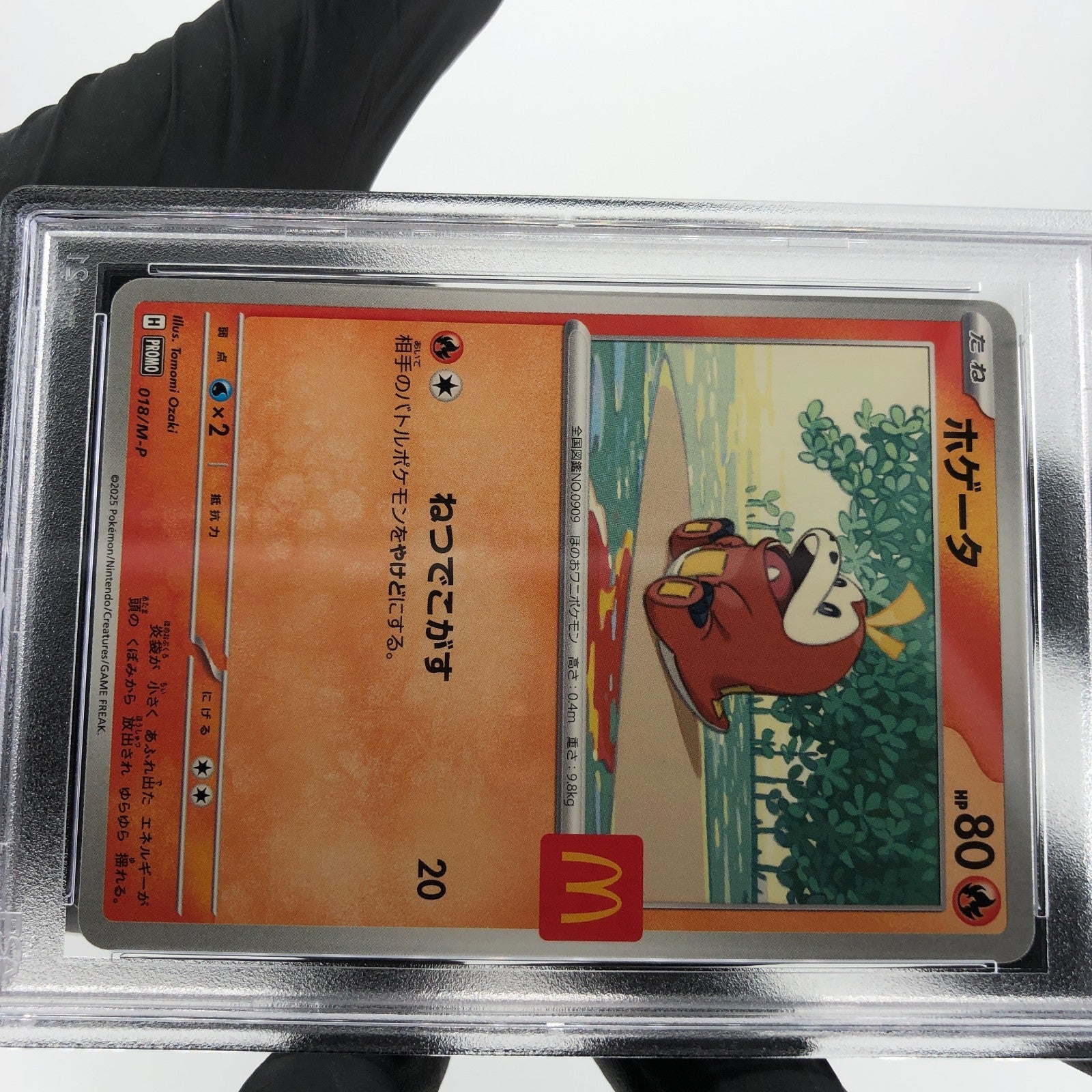 PSA 8 Pokemon Card Fuecoco 018/M-P McDOnalds Promo Japanese Karte [8]