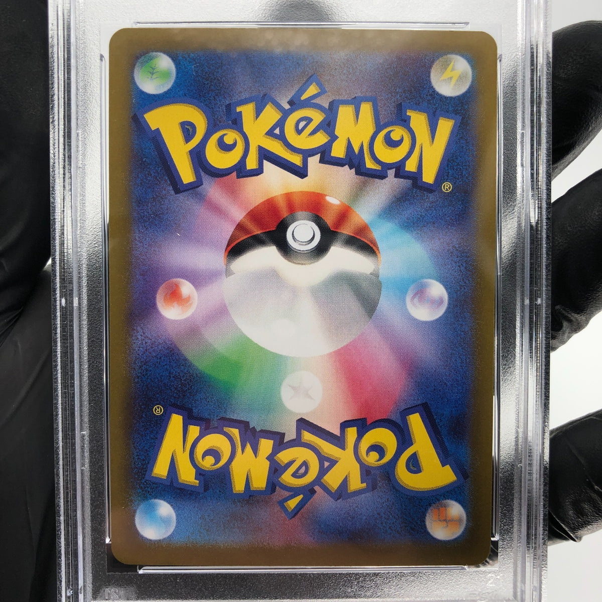 PSA 8 Pokemon Card Wartortle 171/165 AR SV2a Japanese Karte [8]