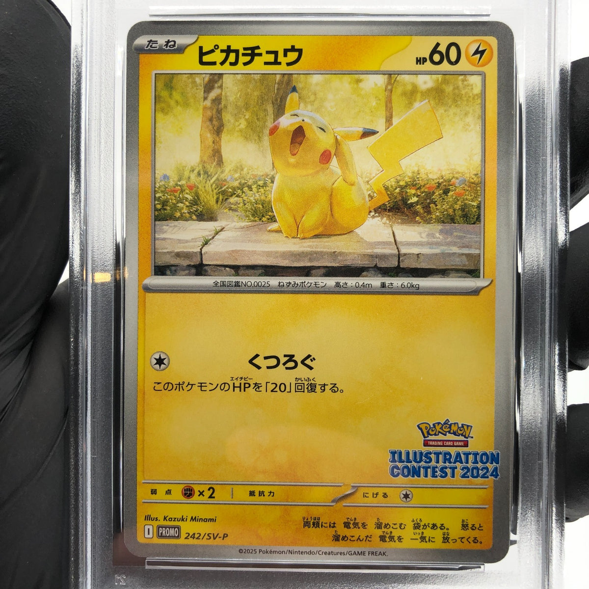 PSA 9 Pokemon Card Pikachu 242/SV-P Illustration Promo Japanese Karte [9]