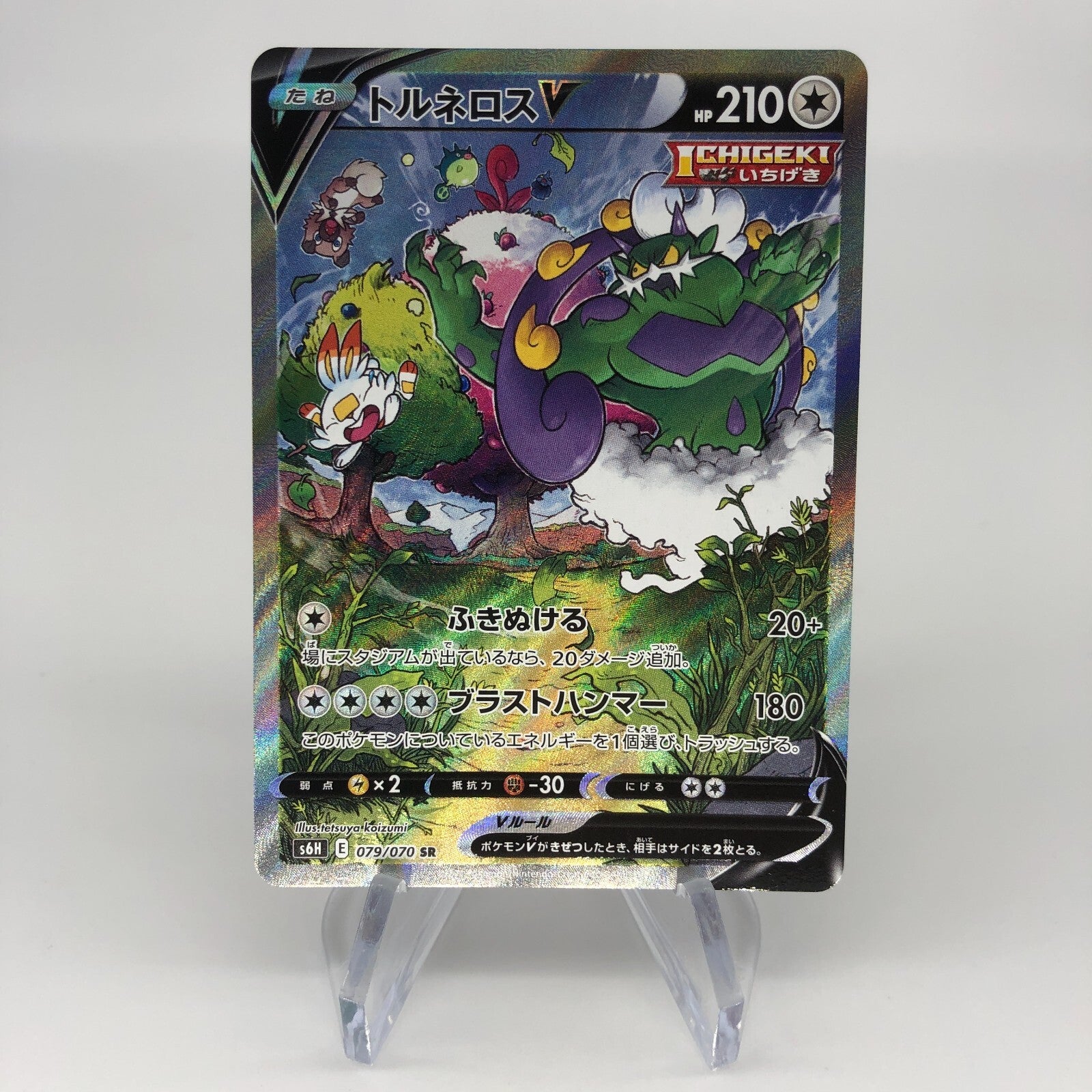 Pokemon Card Tornadus V 079/070 SR s6H Alt Art Japanese Karte [Mint]