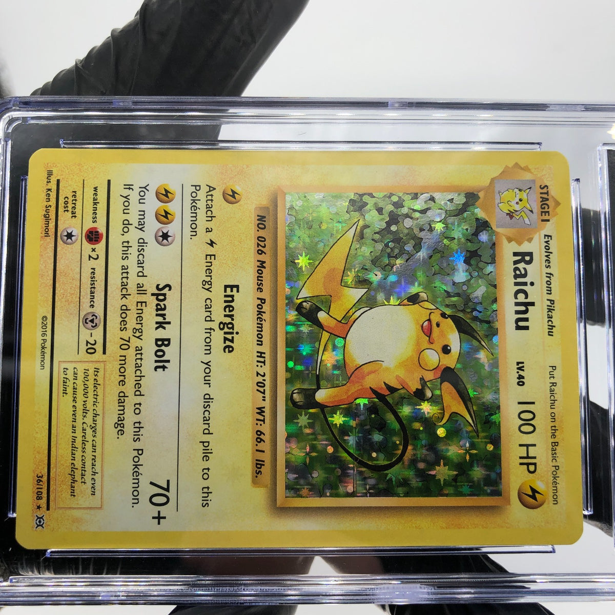 CGC 9 Pokemon Card Raichu 36/108 Evolutions 2016 Holo English Karte [9]