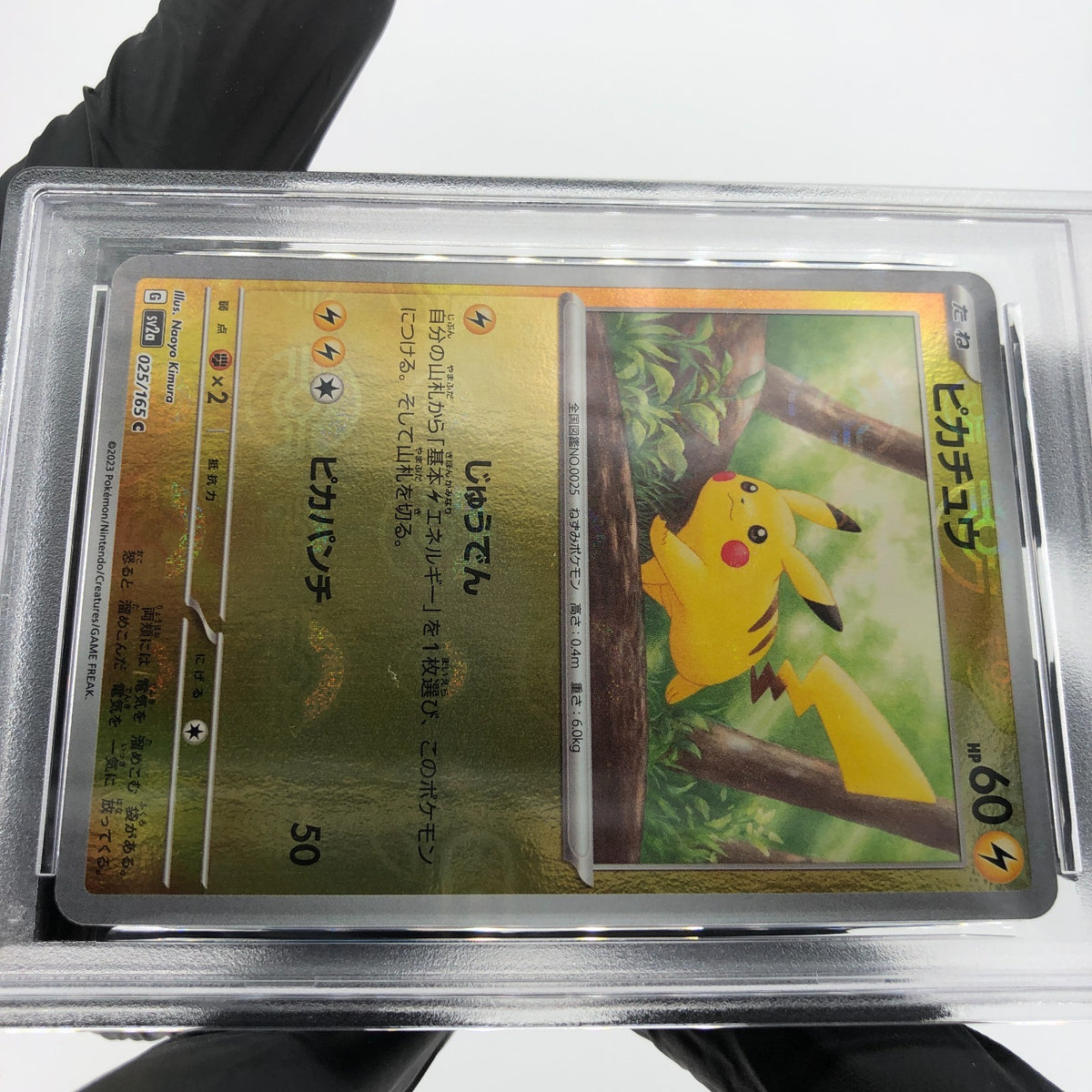 PSA 9 Pokemon Card Pikachu 025/165 C Pokeball SV2a Japanese Karte [9] 3