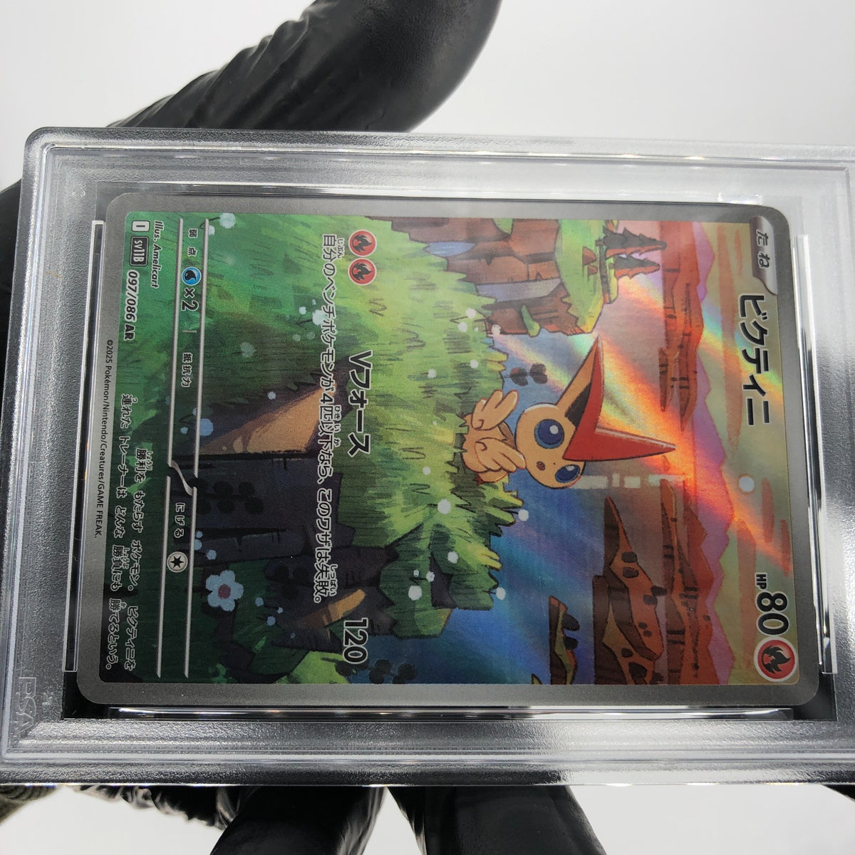 PSA 8 Pokemon Card Victini 097/086 AR Sv11b Japanese Karte [8]