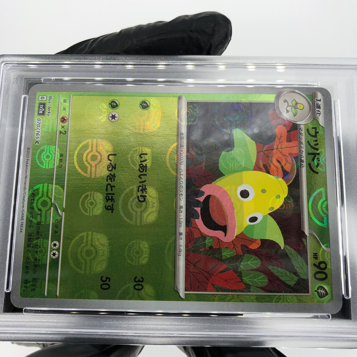 PSA 9 Pokemon Card Weepinbell 070/165 C Masterball SV2a Japanese Karte [9]