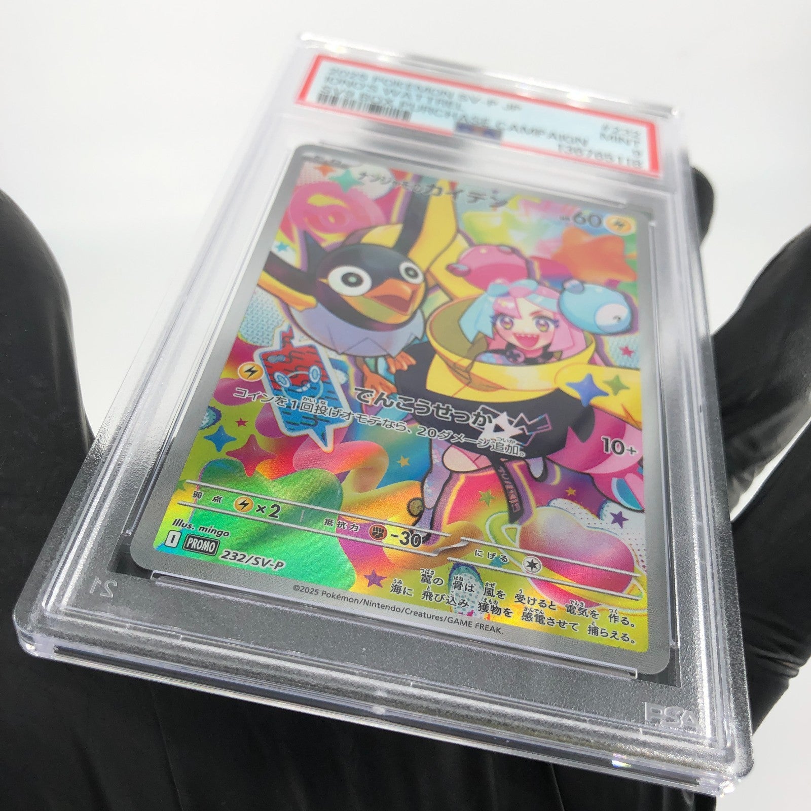 PSA 9 Pokemon Card Ionos Wattrel 232/SV-P  Promo Japanese Karte [9]