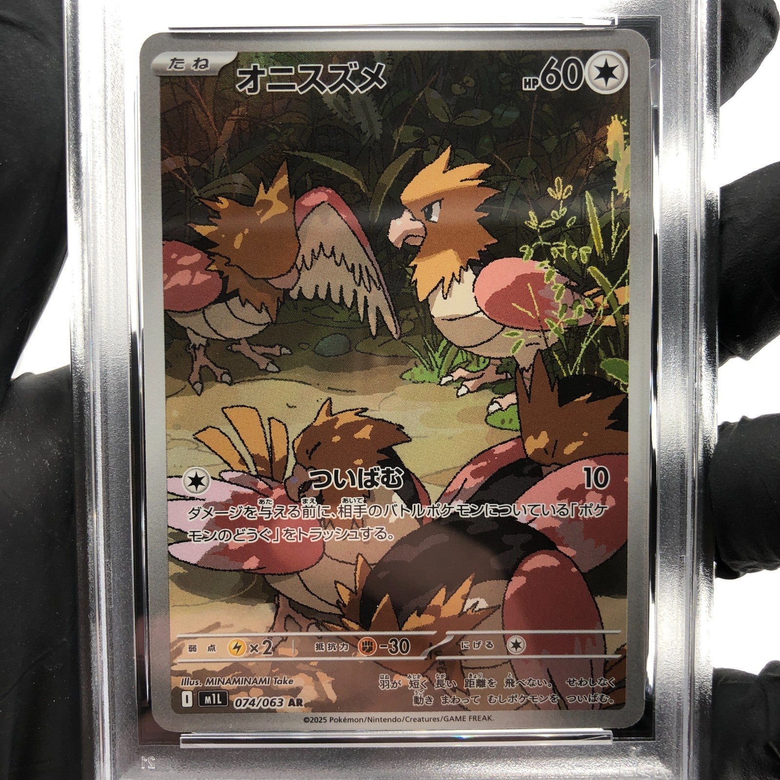 PSA 8 Pokemon Card Flapple 074/064 AR SV7a  Japanese Karte [8]