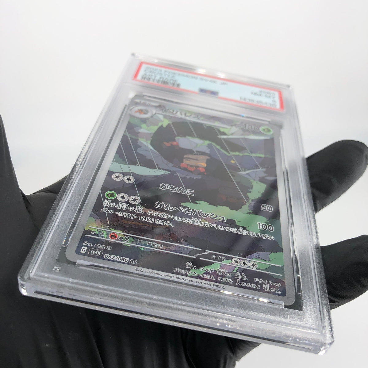 PSA 8 Pokemon Card Crustle Ex 067/066 AR SV4k Japanese Karte [8]