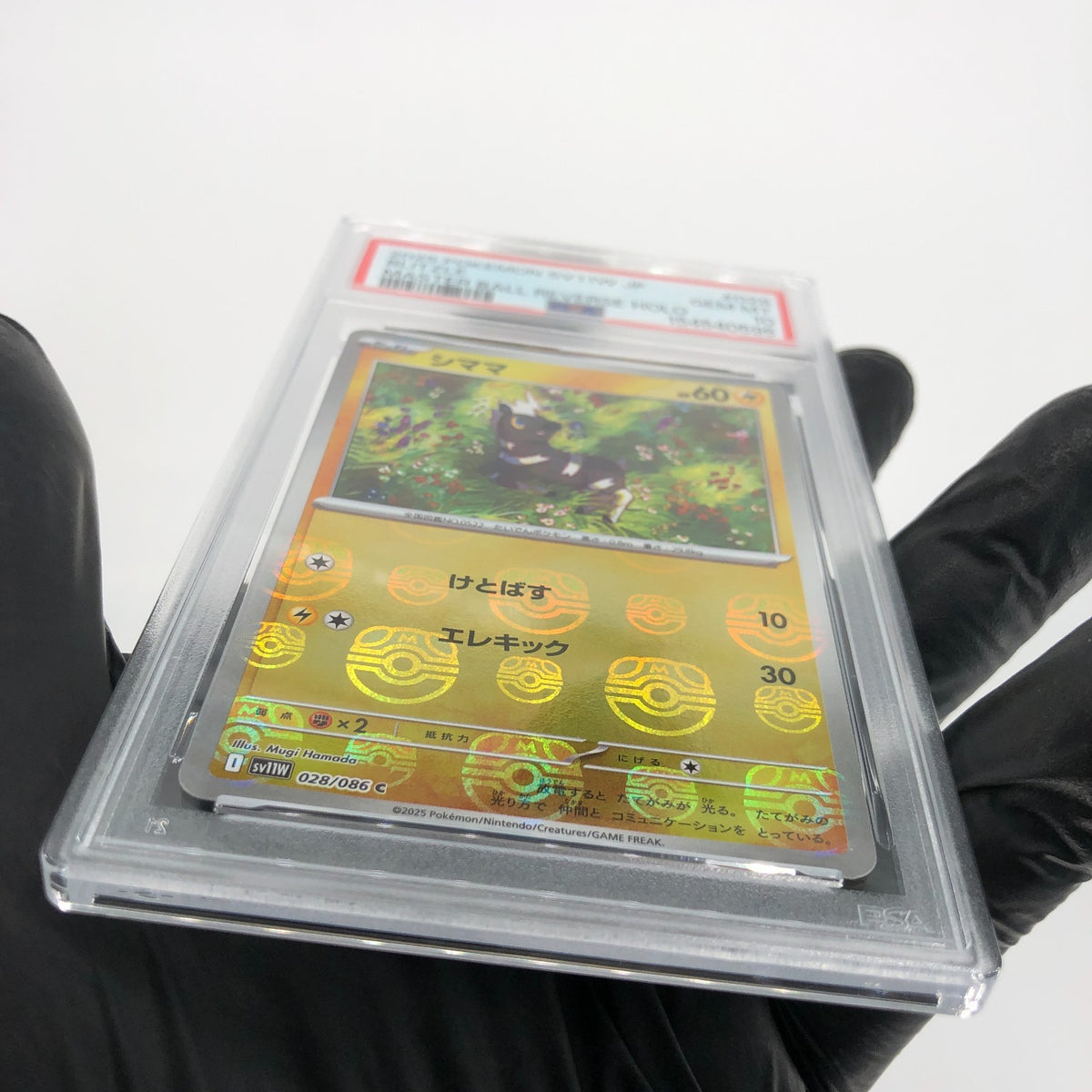 PSA 10 Pokemon Card Blitzle 028/086 C Masterball SV11W Japanese Karte [10]