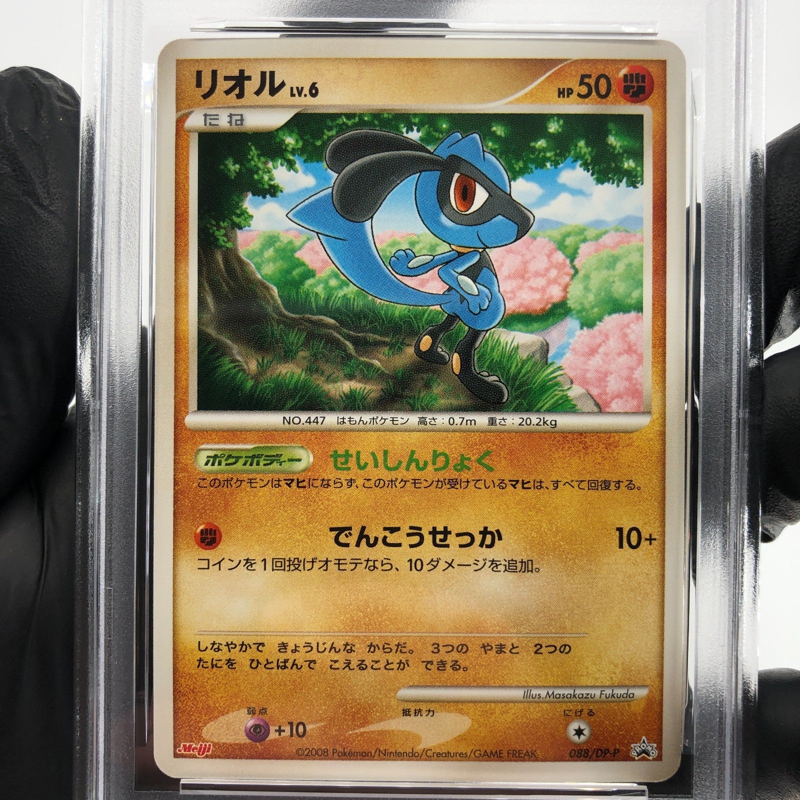 PSA 8 Pokemon Card Riolu 088/DP-P Meiji Promo Japanese Karte [8]