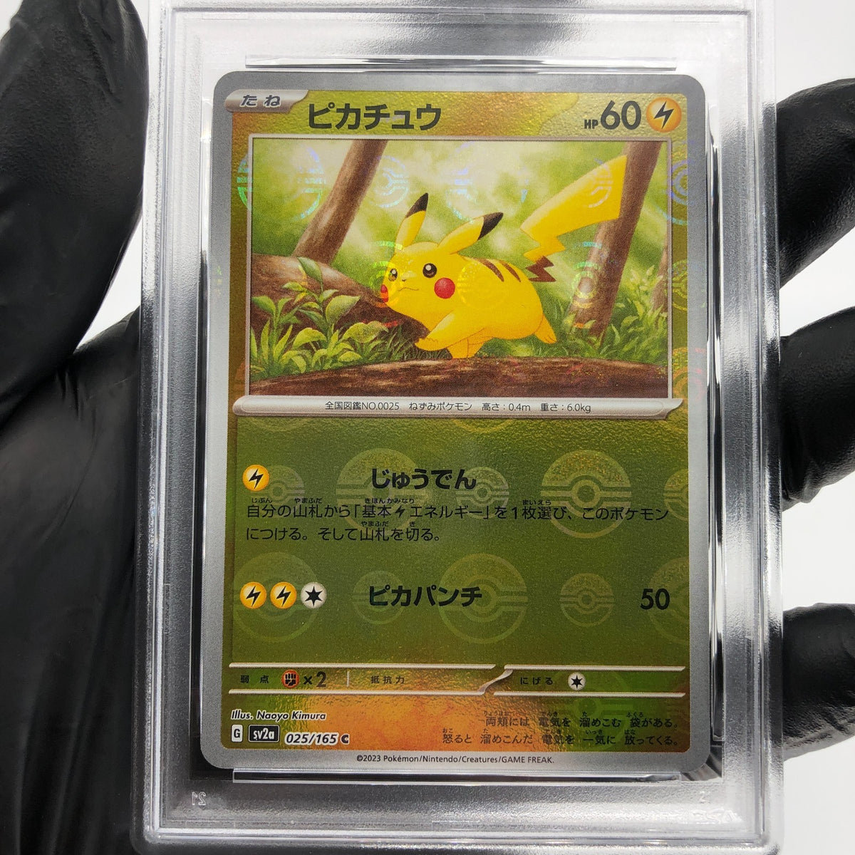 PSA 9 Pokemon Card Pikachu 025/165 C Pokeball SV2a Japanese Karte [9] 2