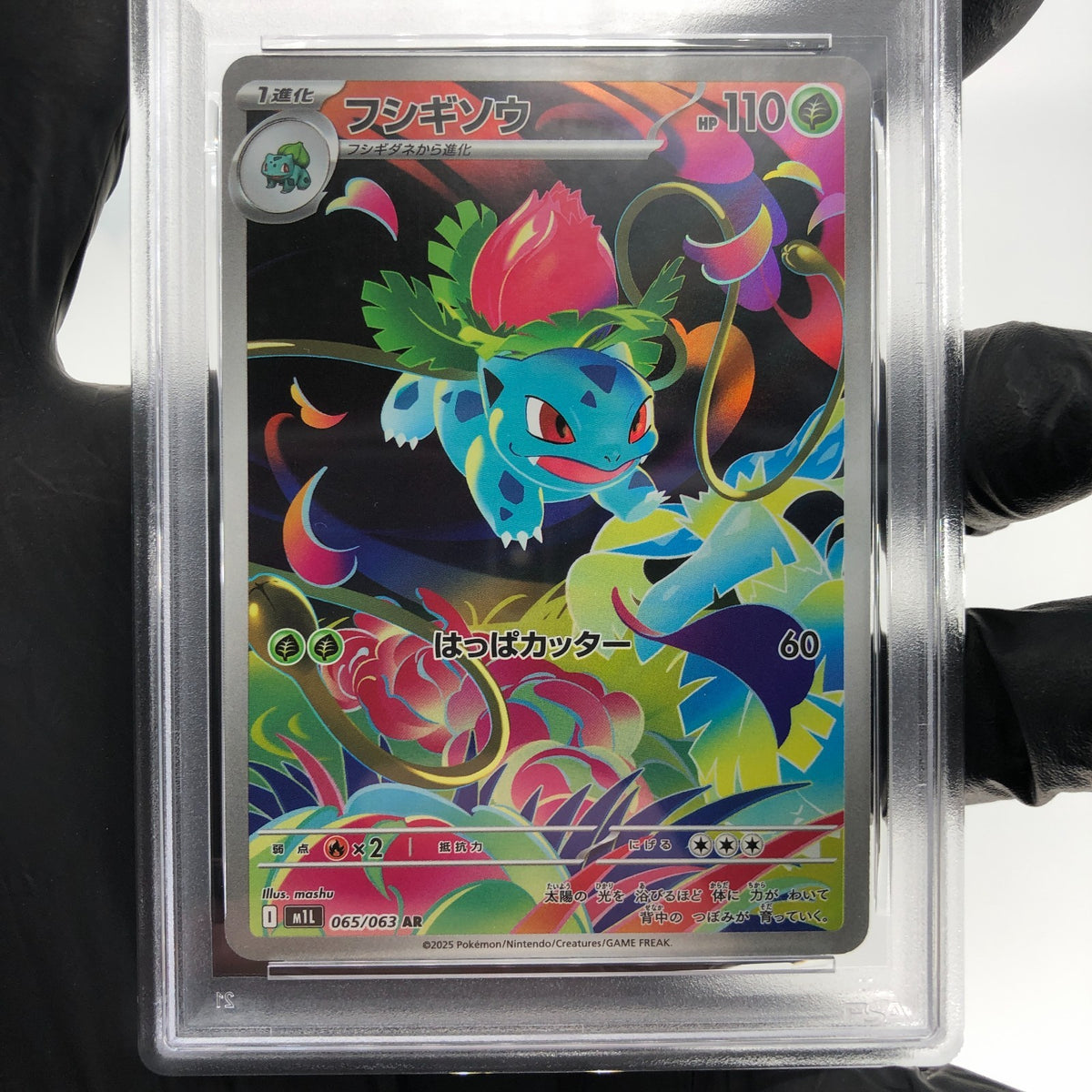 PSA 8 Pokemon Card Ivysaur AR 065/063 M1L Japanese Karte [8]