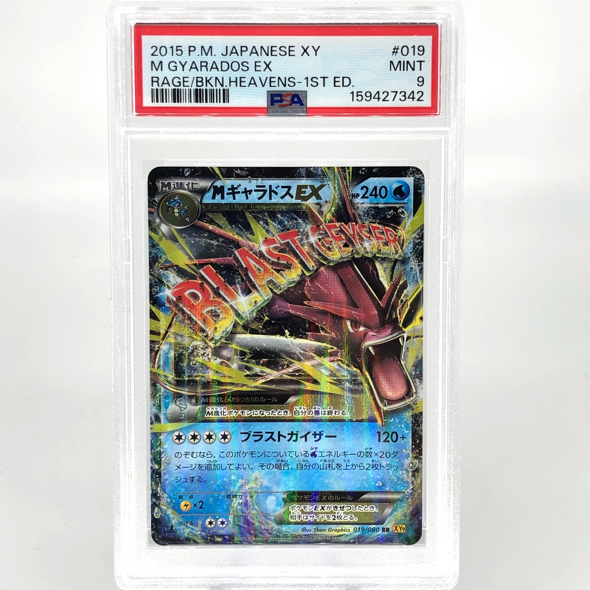 PSA 9 Pokemon Card Shiny Gyarados Ex 019/080 RR 1.Edition XY9 Japanese Karte [9]