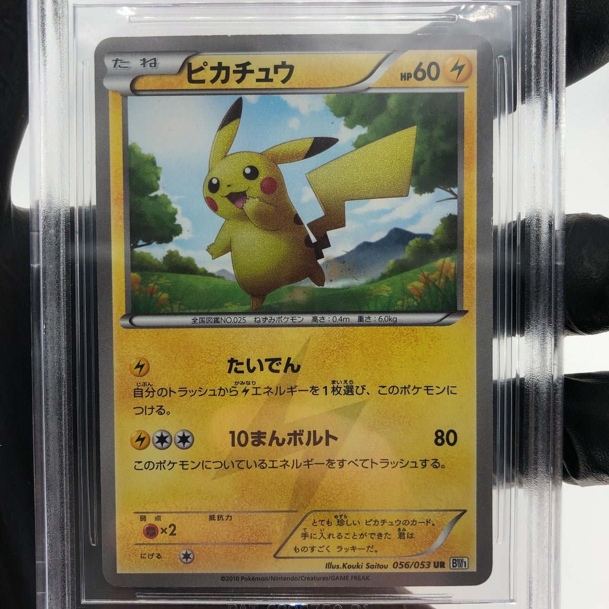BGS 5.5 Pokemon Card Pikachu 056/053 White Collection Holo Japanese Karte [5.5]
