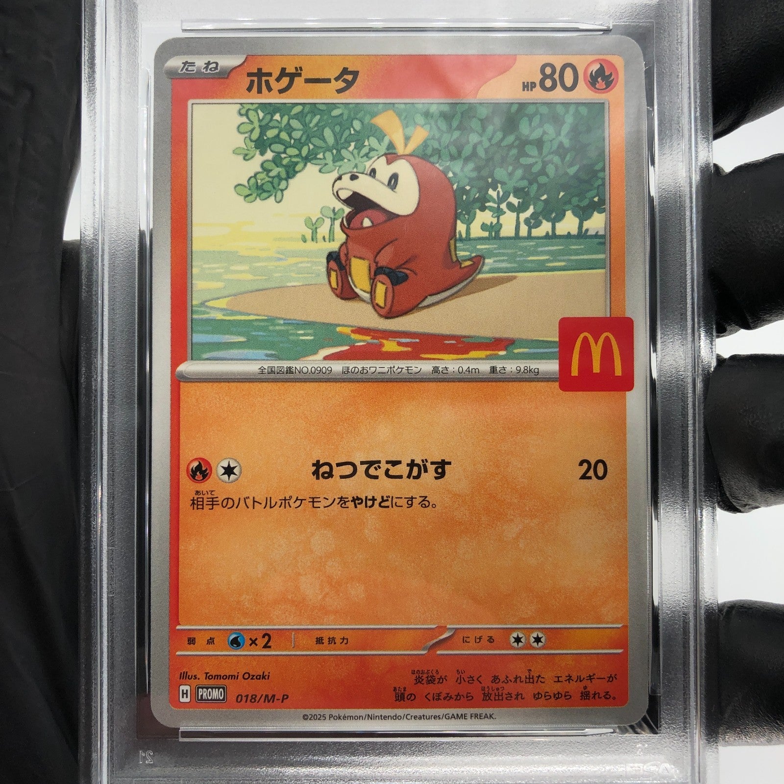 PSA 9 Pokemon Card Fuecoco 018/M-P McDonalds Promo Japanese Karte [9]