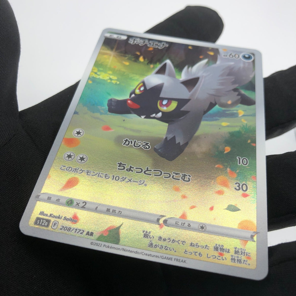 Pokemon Card Poochyena 208/172 AR s12a Full Art Foil Japanese Karte [Mint]