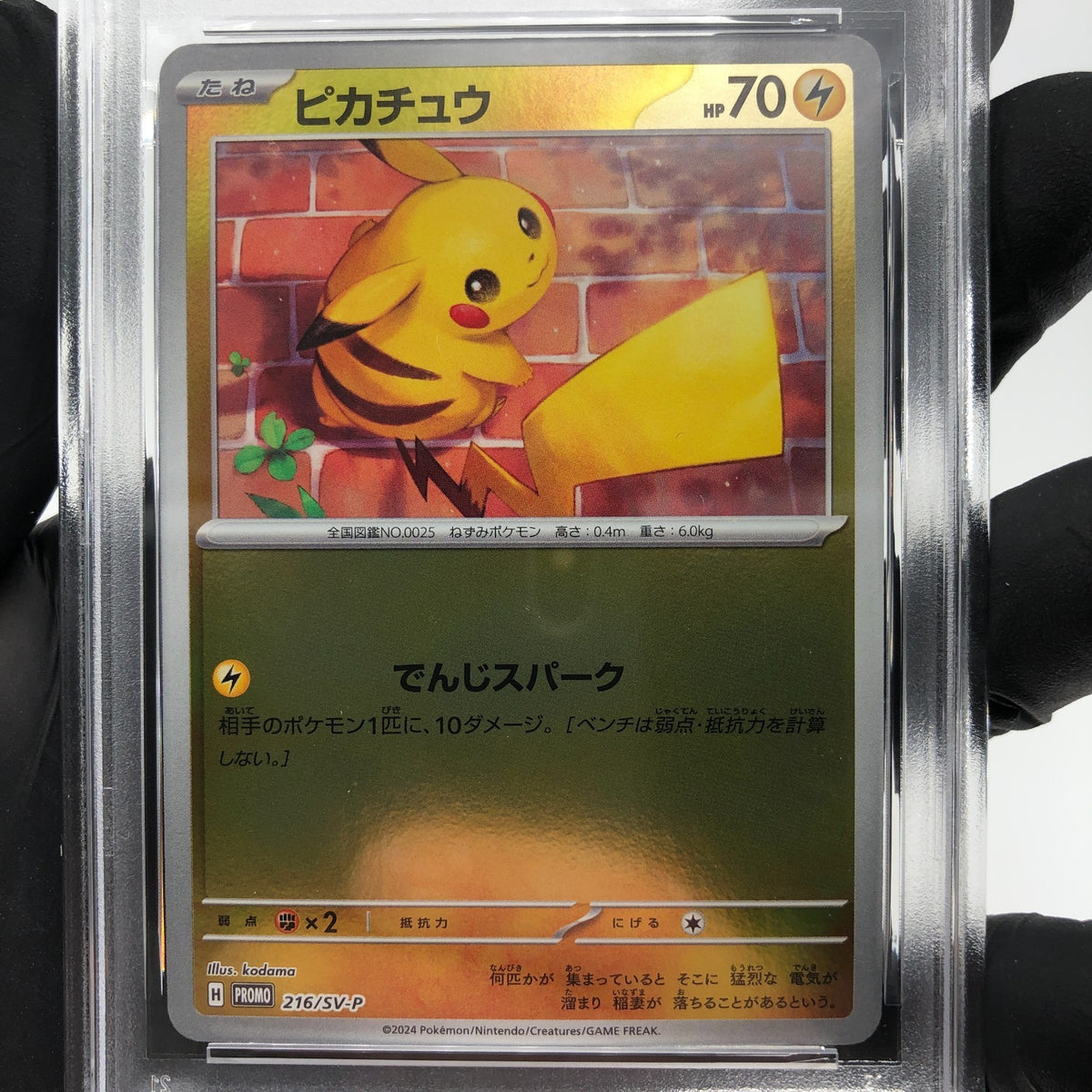 PSA 8 Pokemon Card Pikachu 216/SV-P Summer Promo Japanese Karte [8]
