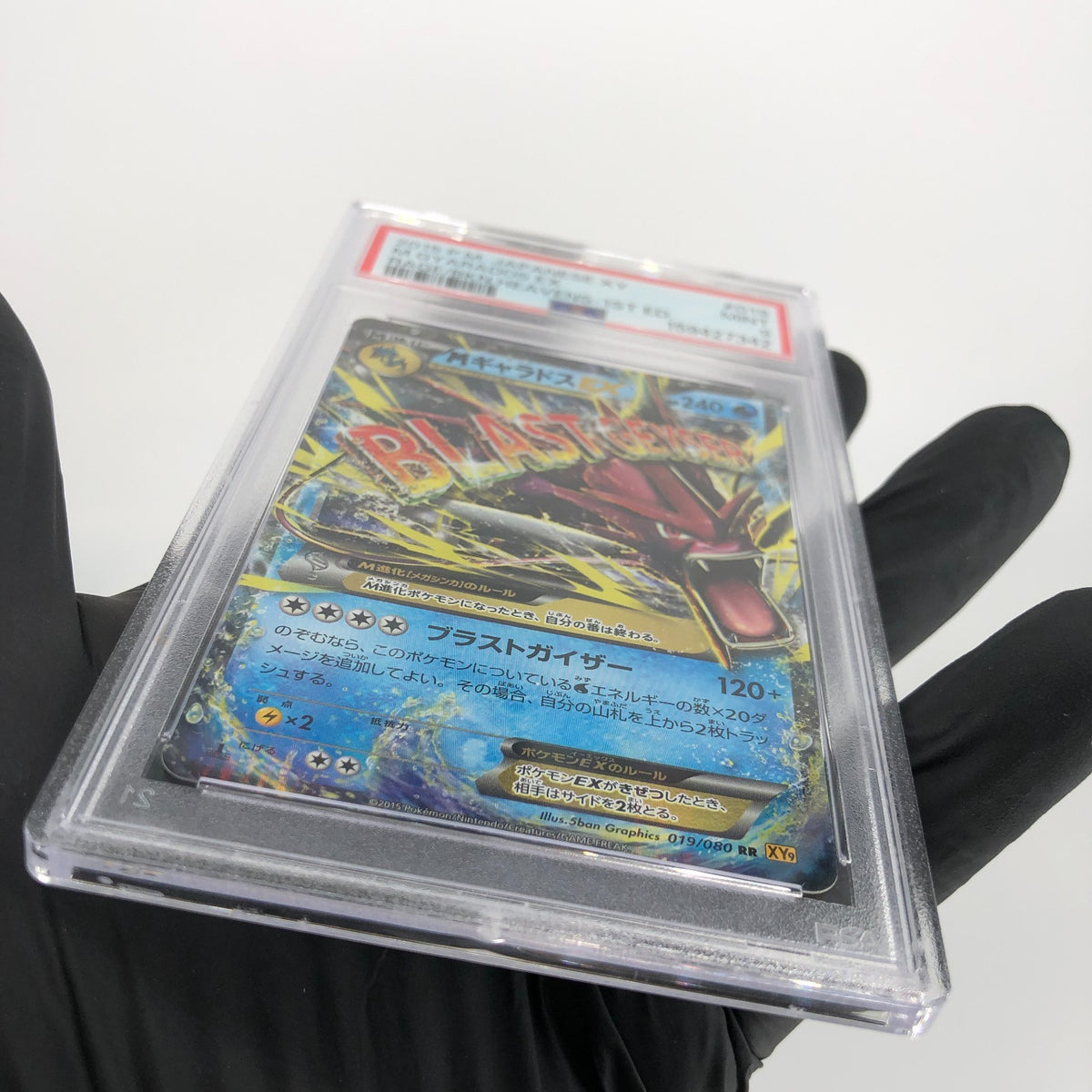 PSA 9 Pokemon Card Shiny Gyarados Ex 019/080 RR 1.Edition XY9 Japanese Karte [9]