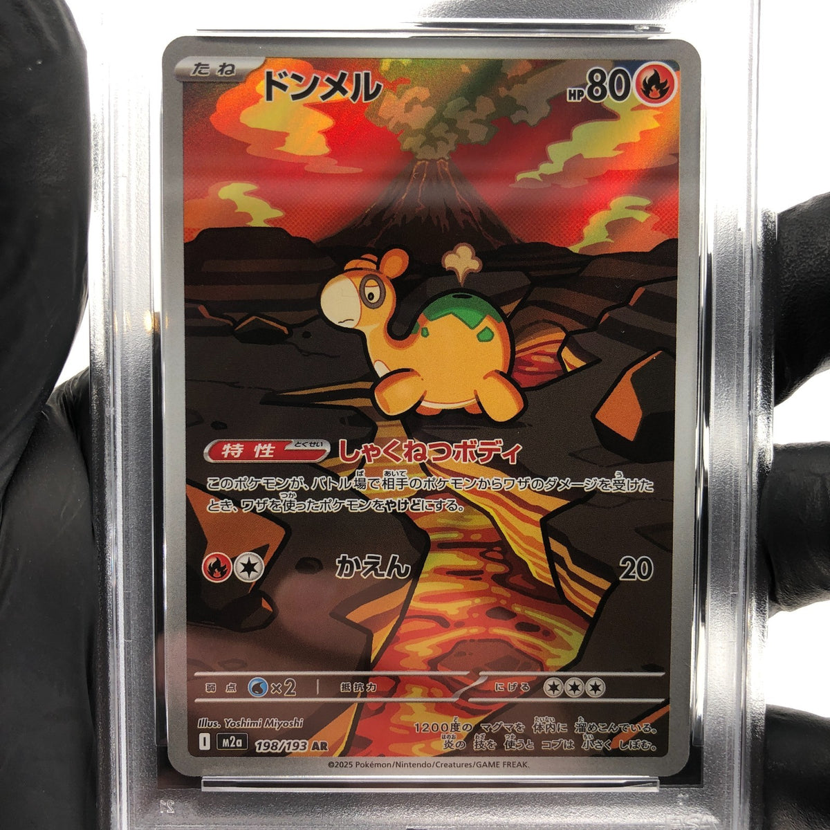 PSA 10 Pokemon Card Numel 198/193 AR M2a Japanese Karte [10]