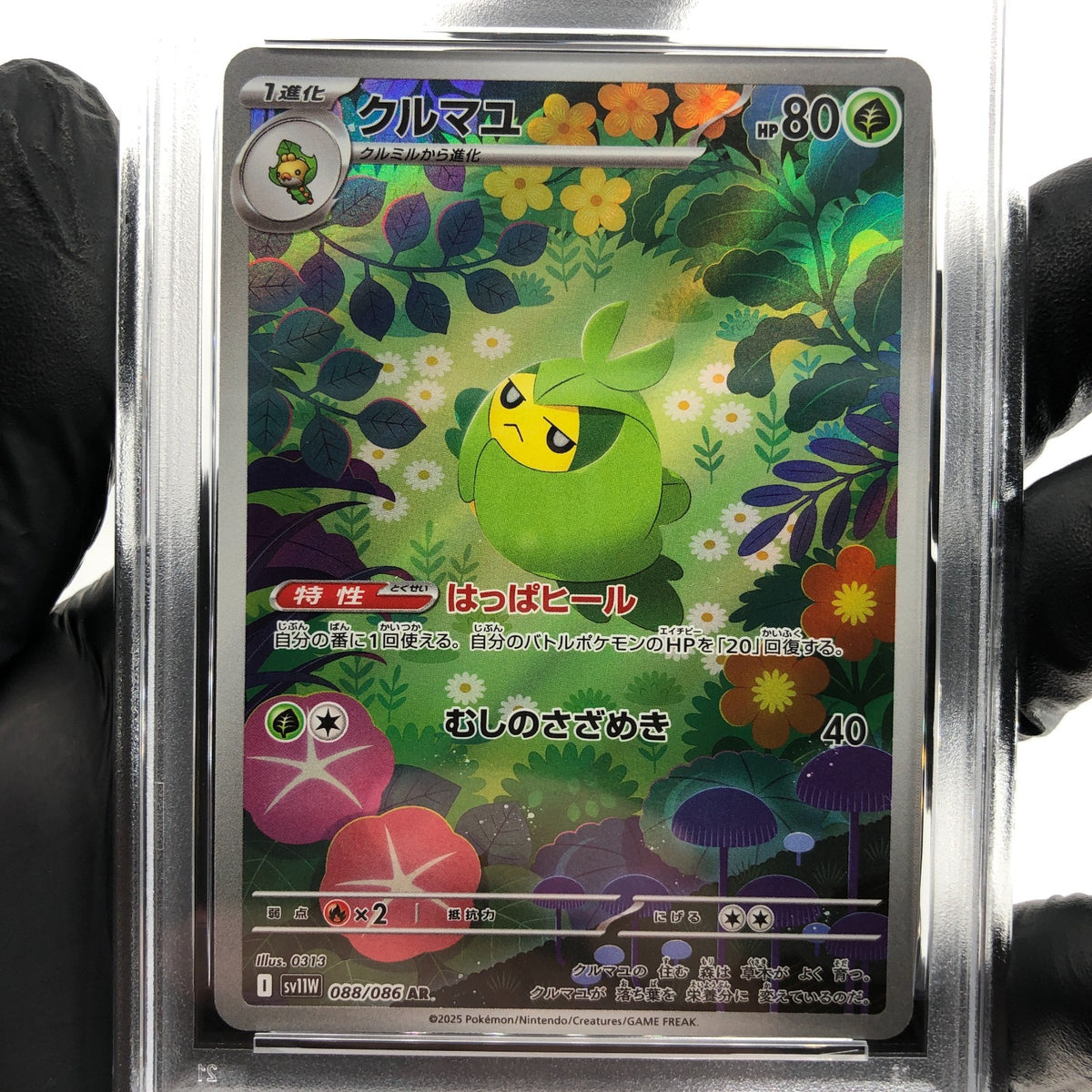 PSA 8 Pokemon Card Swadloon 088/086 AR SV11W Japanese Karte [8]