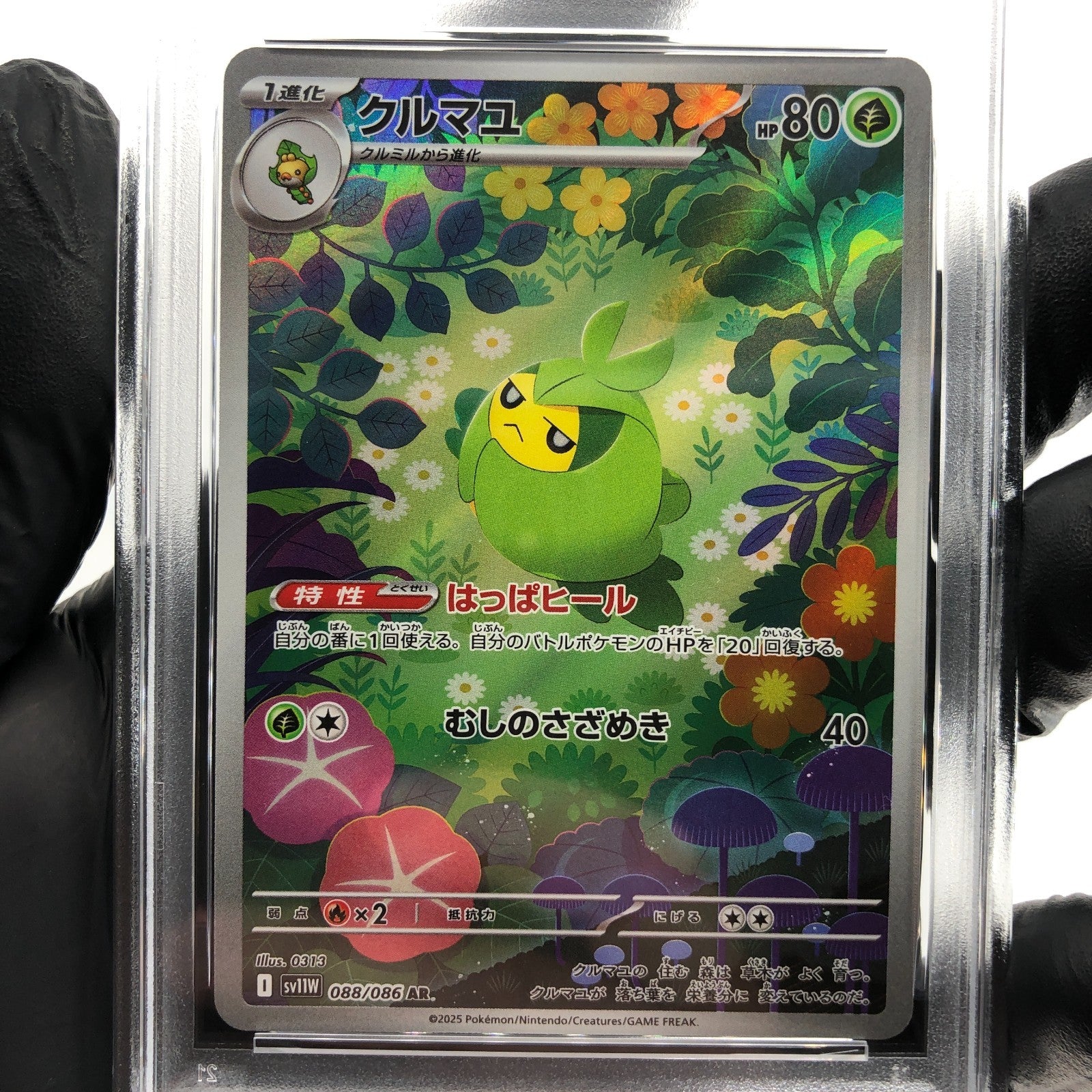 PSA 8 Pokemon Card Swadloon 088/086 AR SV11W Japanese Karte [8]